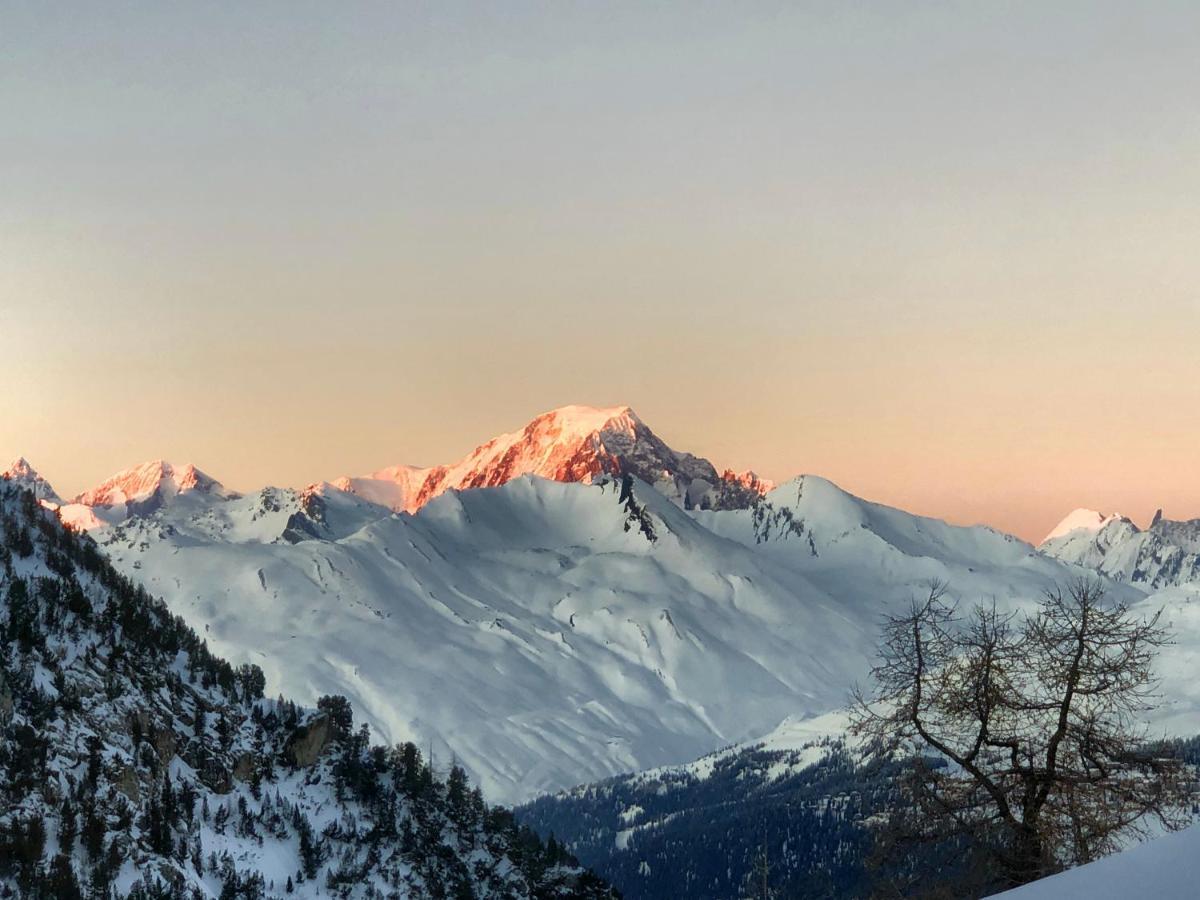 Arc 1950 - 2 - Ski-in & Out - Grande Terrasse Ensoleillee * Les Arcs (Savoie)